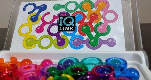 IQ link pieces and board on a table