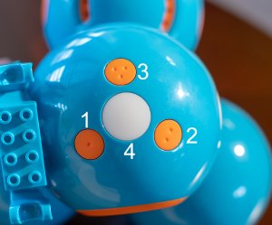 Photo of the top of Dash Robot's head showing four buttons